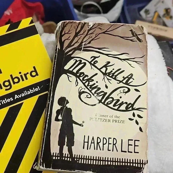 To kill a Mockingbird​ - Picture 2 of 4